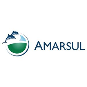 Amarsul